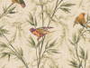 Great Ormond Street - Stable Tapete von Little Greene mit lila und orange Vögeln