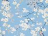 Little Greene Massingberd Blossom - Hellblau