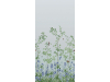 Little Greene Vogel & Hasenglöckchen - Himmelblau