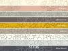 Paint & Paper Library Aeonium - Cotton
