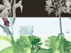 Paint & Paper Library Aloe Walk - Perse Grau