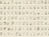Sandberg Botanica - Hafer