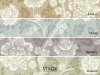 Little Greene Gustav - Trophäe