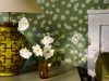 Little Greene Mondmargeriten - Garten