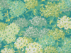Little Greene Rhododendron-Spaziergang - Kanton