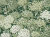 Little Greene Rhododendron-Spaziergang - Puck