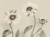 Sandberg Sonnenblumen - Weiß