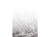 Paint & Paper Library Folia - Perse Grau