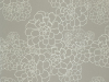 Paint & Paper Library Aeonium - Stiel