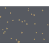 Cole & Son Sterne - 103/3017