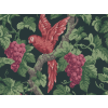 Cole & Son Woodvale Obstgarten - 116/5020