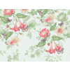 Little Greene Asterid - Minze