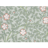 Little Greene Heckenrose - Salix