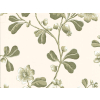Little Greene Broadwick Street - Garten