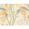 Little Greene Loriini - Neu