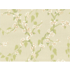 Little Greene Sakura - Apfel