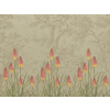 Little Greene Upper Brook Street - Midi