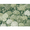 Little Greene Rhododendron-Spaziergang - Puck