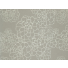 Paint & Paper Library Aeonium - Stiel