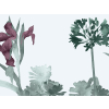 Paint & Paper Library Aloe Walk - Eis