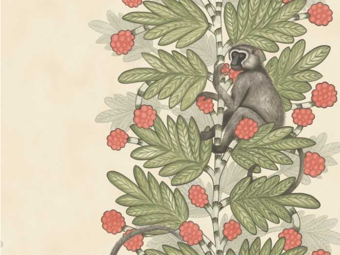 Cole & Son Akazie - 109/11051