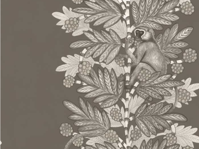 Cole & Son Akazie - 109/11055