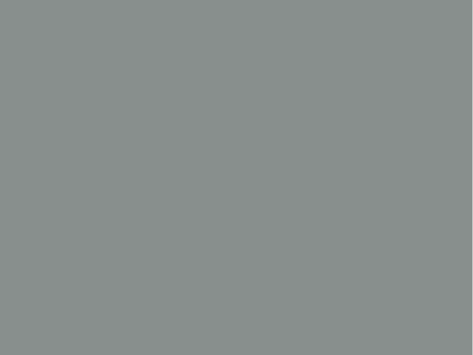 Paint & Paper Library Architects' Eggshell - Tallanstown Grau 109