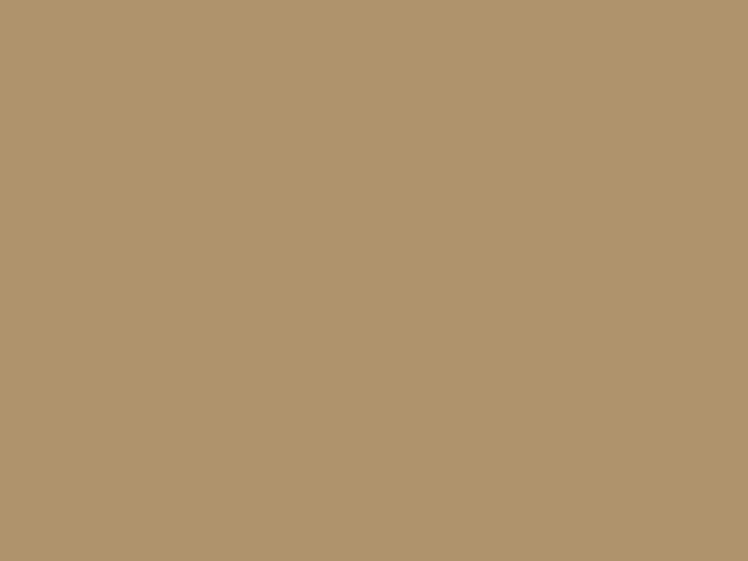 Paint & Paper Library Architects' Eggshell - Caddie 452