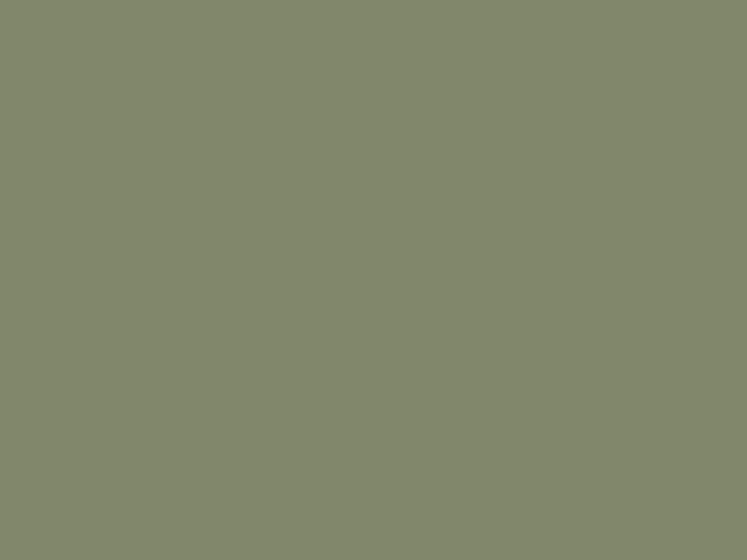 Paint & Paper Library Architects' Gloss - Sencha 569