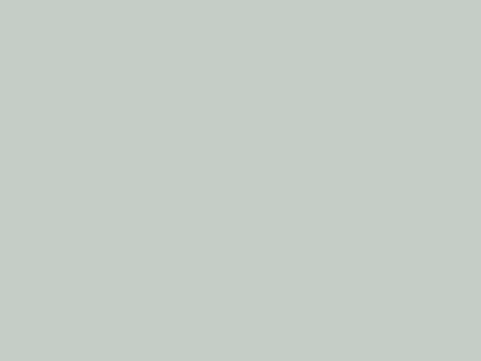 Paint & Paper Library Architects' Satinwood - Stahl IV 604