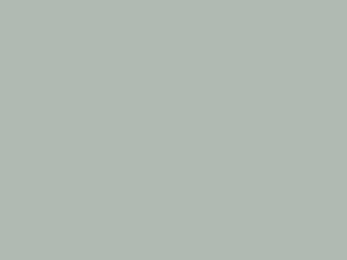 Paint & Paper Library Pure Flat Emulsion - Stahl V 605