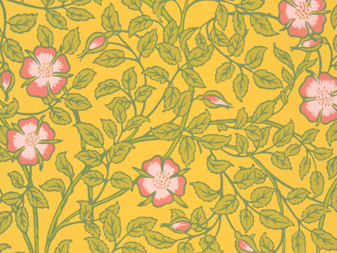 Gelbe Tapete mit rosa Blumen Briar Rose - Indian Yellow Little Greene