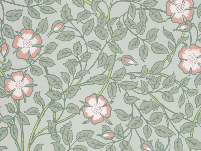 Little Greene Briar Rose - Salix Tapete mit Blumen und Blättern
