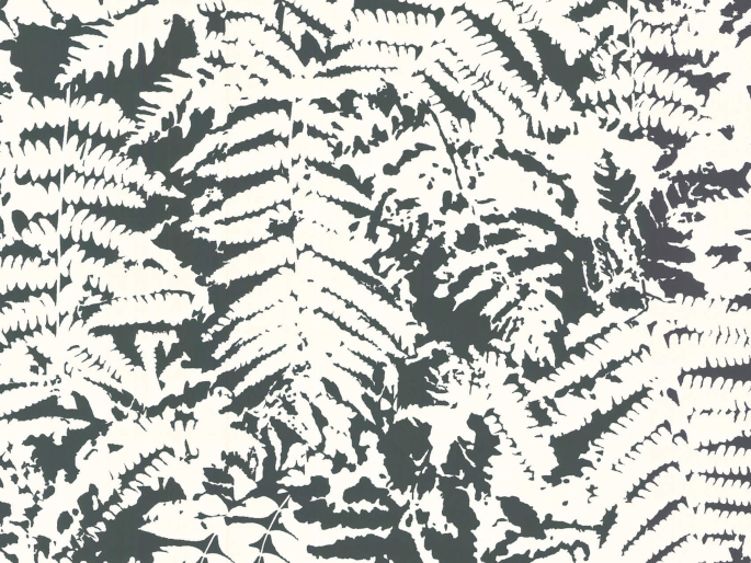 Tapete von Little Greene mit weißen Blättern auf schwarzem Hintergrund Fern - Off Black
