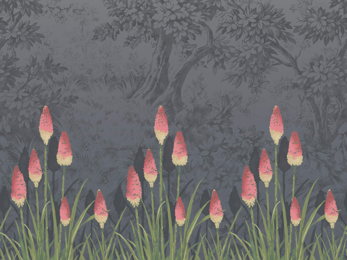 Little Greene Upper Brook Street - Mitternacht