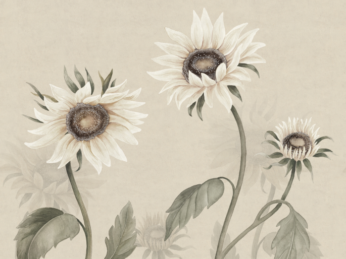 Sandberg Sonnenblumen - Weiß