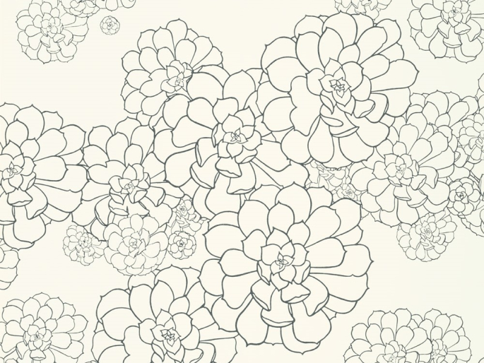 Paint & Paper Library Aeonium - Reines Weiß