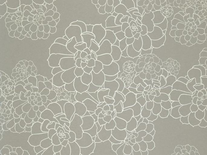 Paint & Paper Library Aeonium - Stiel
