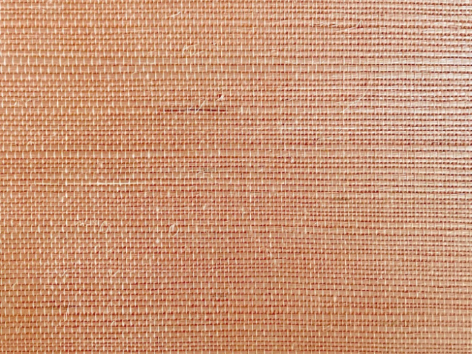 Catchii Sisal Tapete Rosé-Champagner - S015