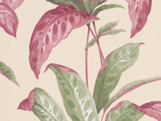 Paint & Paper Library Tropicane - Rhabarber
